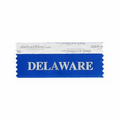 Delaware Award Ribbon w/ Silver Print (4"x1 5/8")